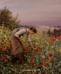 Girl Picking Poppies - Daniel Ridgway Knight