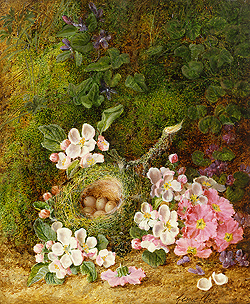 Still Life of Flowers and Bird\'s Nest - George Clare