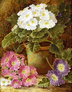 Potted Flowers - Oliver Clare